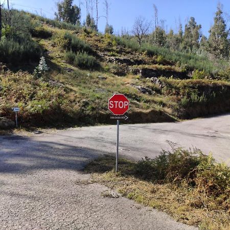 Casa Da Boa Vista Em Viadal Villa Vale de Cambra Dış mekan fotoğraf