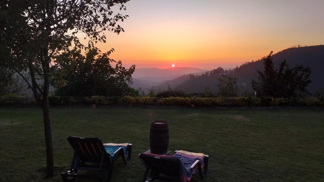 Casa Da Boa Vista Em Viadal Villa Vale de Cambra Dış mekan fotoğraf