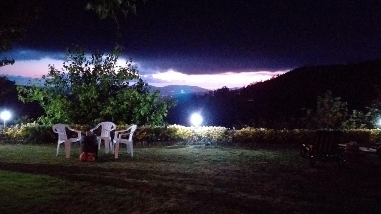 Casa Da Boa Vista Em Viadal Villa Vale de Cambra Dış mekan fotoğraf