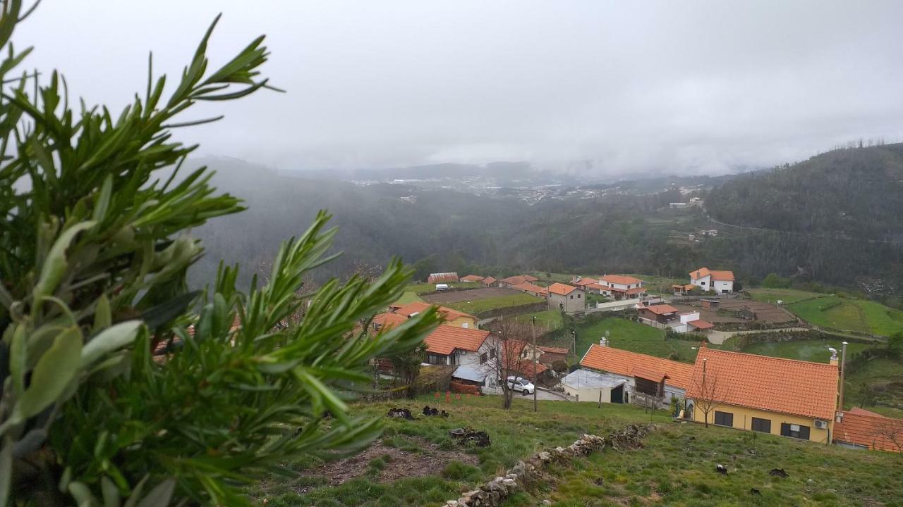 Casa Da Boa Vista Em Viadal Villa Vale de Cambra Dış mekan fotoğraf