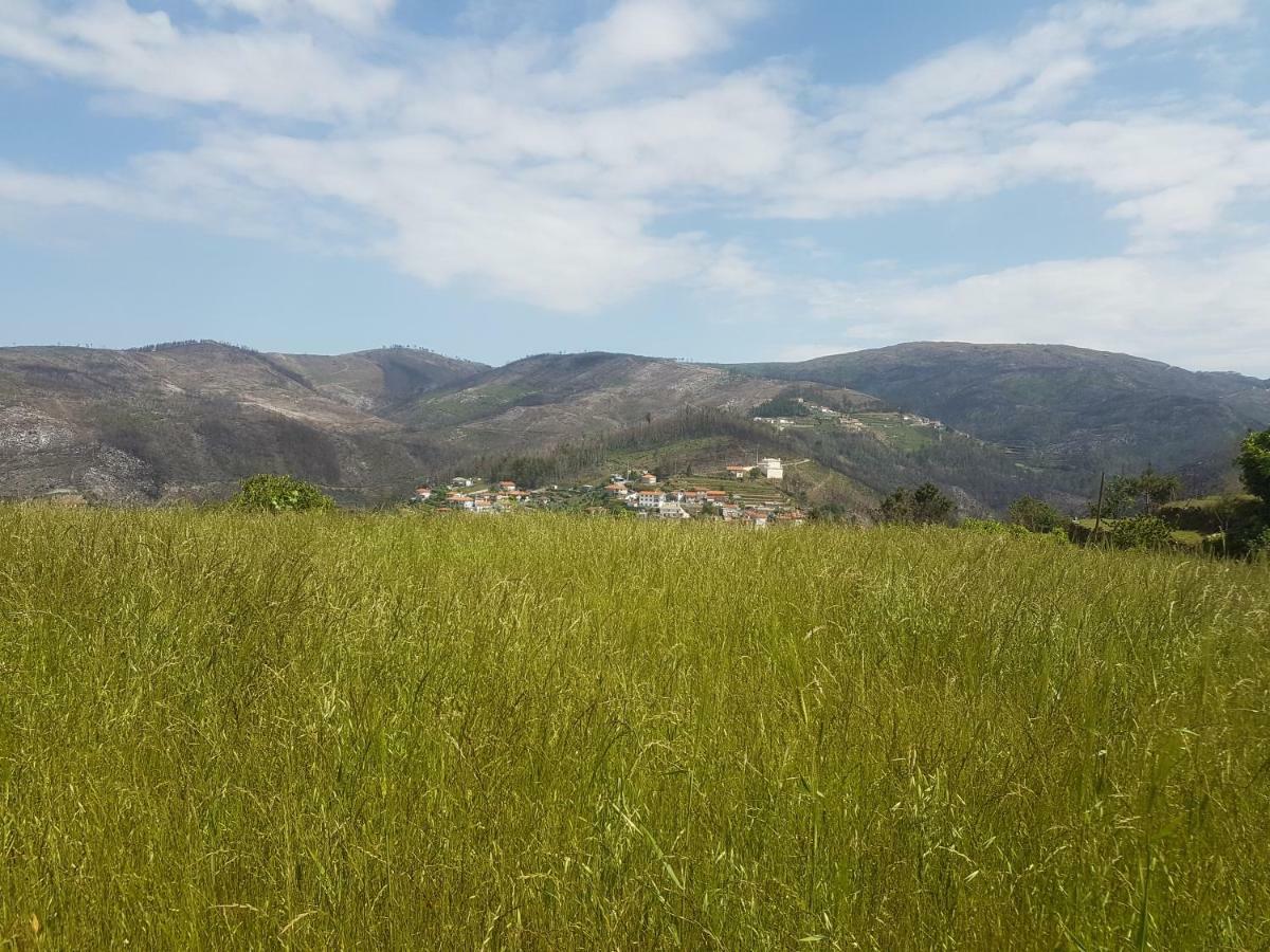 Casa Da Boa Vista Em Viadal Villa Vale de Cambra Dış mekan fotoğraf