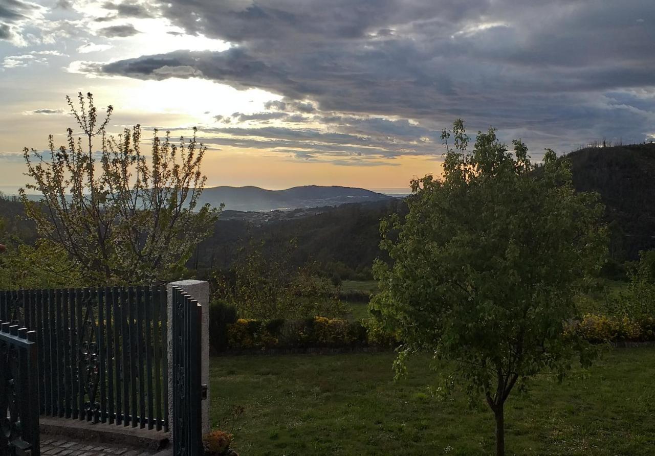 Casa Da Boa Vista Em Viadal Villa Vale de Cambra Dış mekan fotoğraf